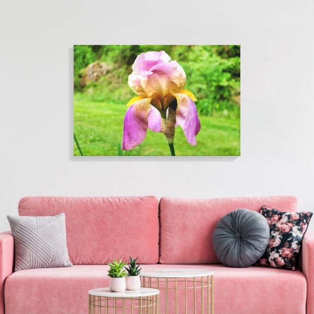Bearded Iris Canvastryck (Insitu (Vardagsrum))