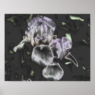 Bearded Iris Flower Pair Metallic Abstrakt Art Poster