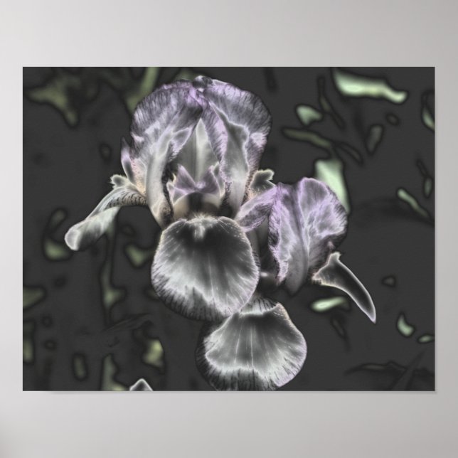 Bearded Iris Flower Pair Metallic Abstrakt Art Poster (Framsidan)