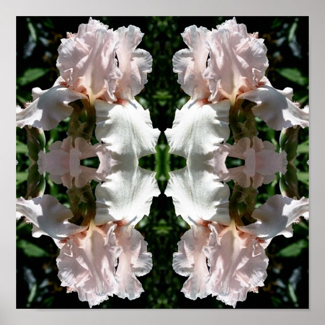 Bearded Iris Flower Up Close Abstrakt Poster (Framsidan)