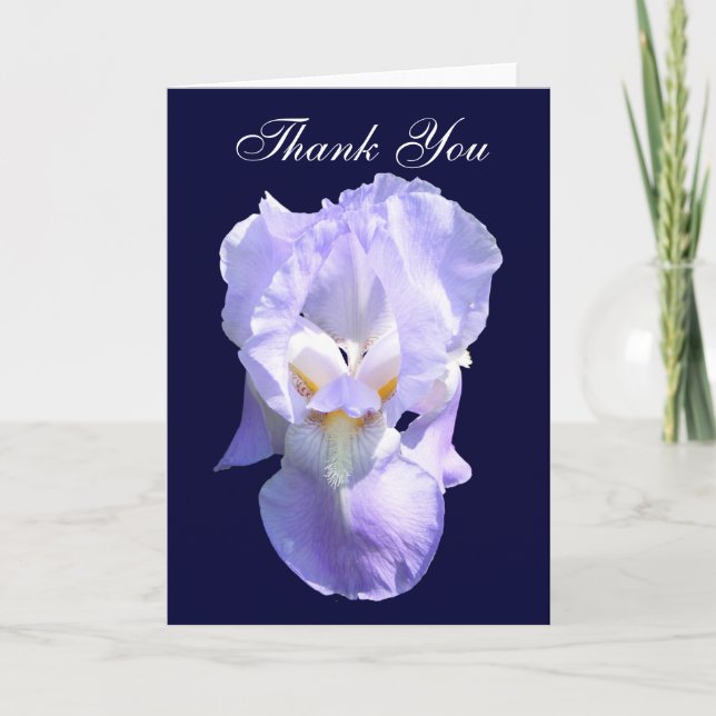 Bearded Iris ~-kort Tack Kort (Framsida)