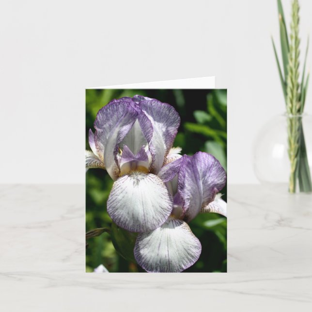 Bearded Iris Pair Flower Photography  Anteckningskort (Framsida)