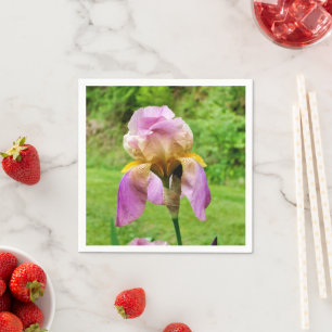 Bearded Iris Papper Napkins Pappersservett