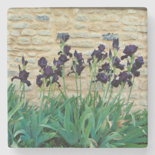 Bearded Iris Stenunderlägg