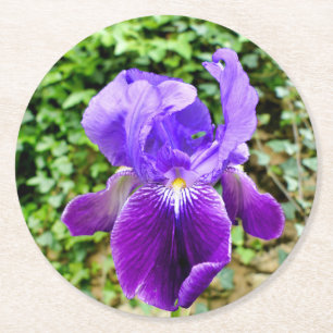 Bearded Iris Underlägg Papper Rund