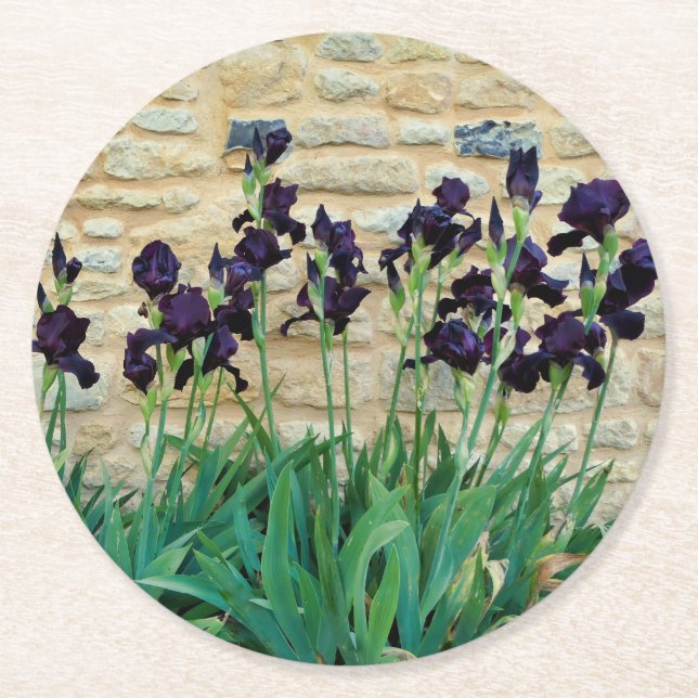Bearded Iris Underlägg Papper Rund (Framsidan)