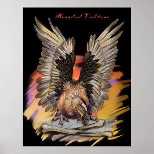 Bearded Vculture Poster