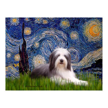 Beardie 2 - Starry Natt