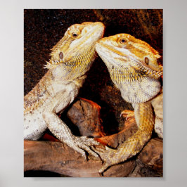 Beardies Poster