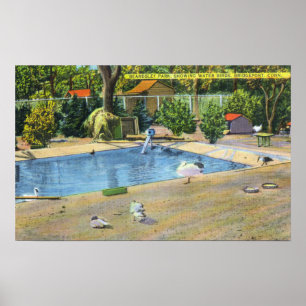 Beardsley Park View of Waterbird Poster