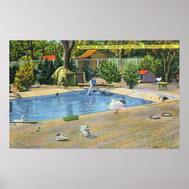 Beardsley Park View of Waterbird Poster (Framsidan)