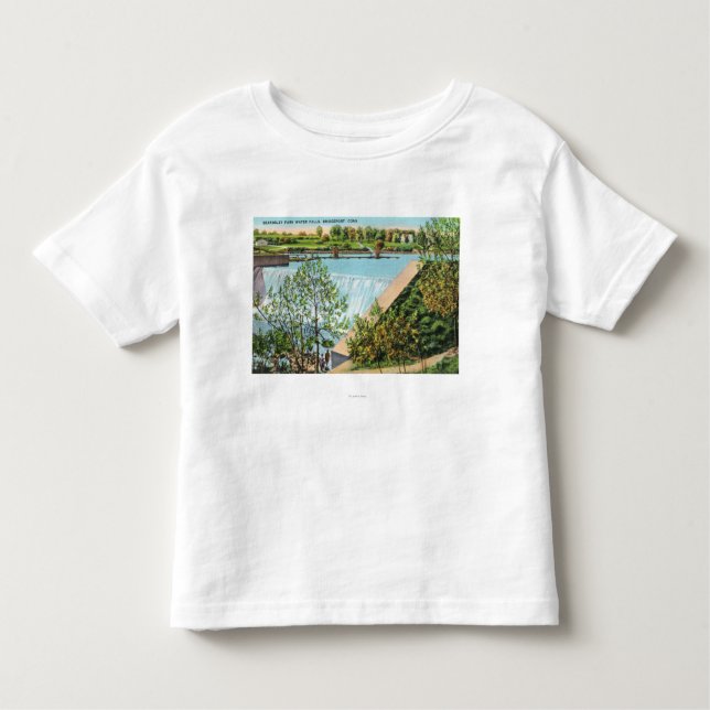 Beardsley parkerar vattennedgångplats tee shirt (Framsida)
