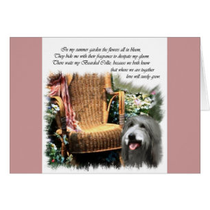 Beared Collie Art-presenter Hälsningskort