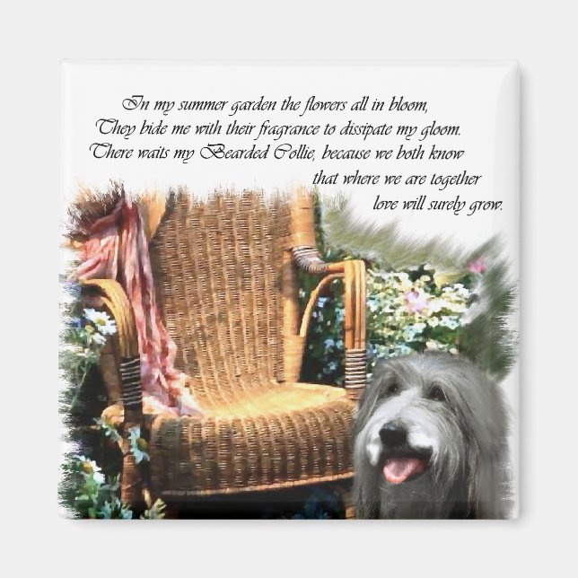 Beared Collie Art-presenter Magnet (Framsidan)