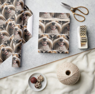 Beared Collie med en todig Flin Presentpapper