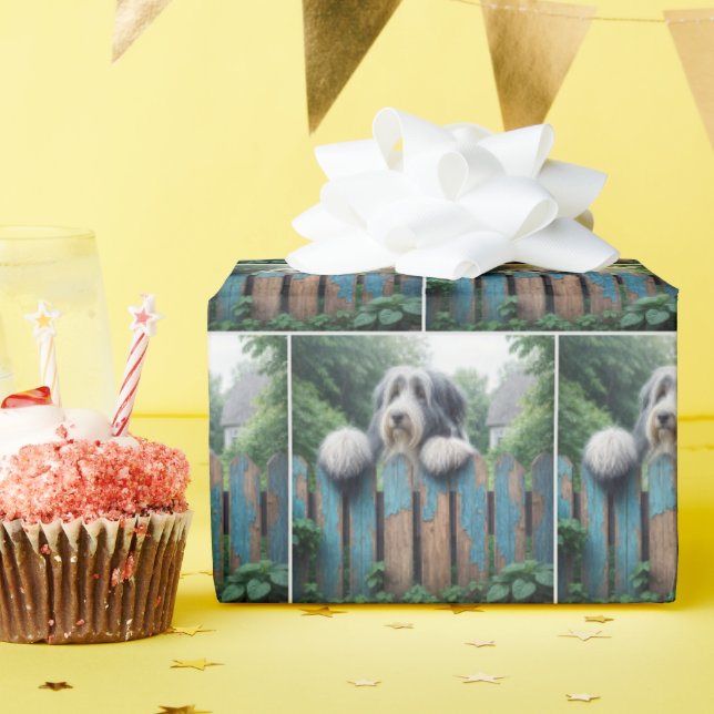 Beared Collie på ett Shabby-stängsel Presentpapper (Födelsedagsfest)