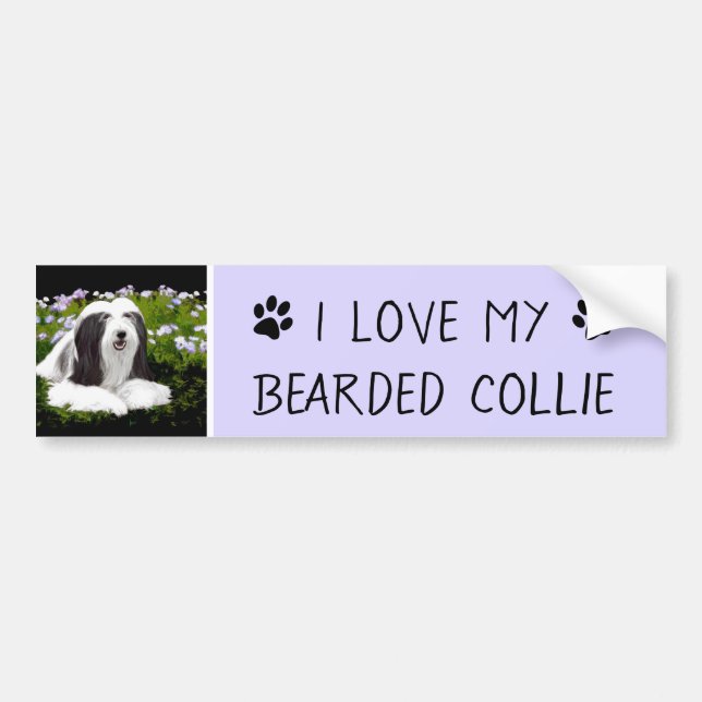 Beared Collie Painting - Cute Original Hund Art Bildekal (Framsidan)