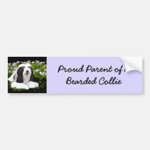 Beared Collie Painting - Cute Original Hund Art Bildekal