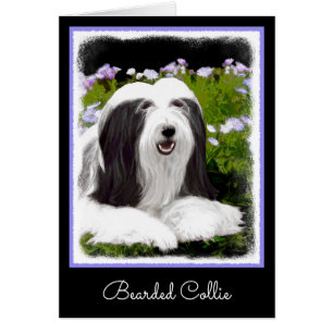 Beared Collie Painting - Cute Original Hund Art Hälsningskort
