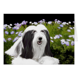 Beared Collie Painting - Cute Original Hund Art Hälsningskort