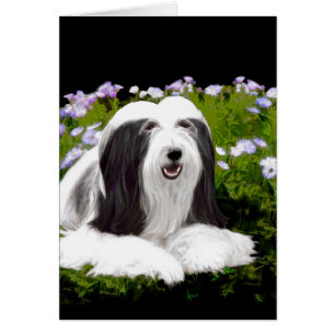 Beared Collie Painting - Cute Original Hund Art Hälsningskort