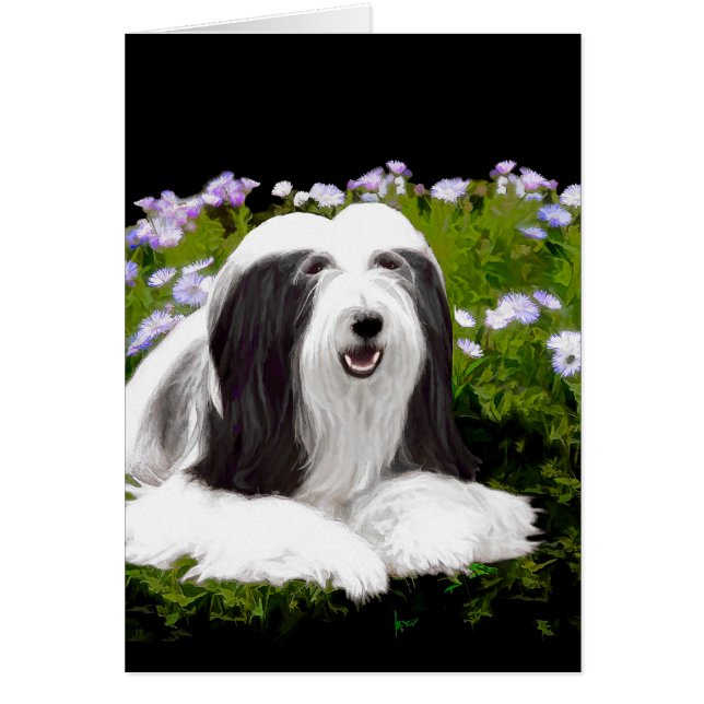 Beared Collie Painting - Cute Original Hund Art Hälsningskort (Framsidan)