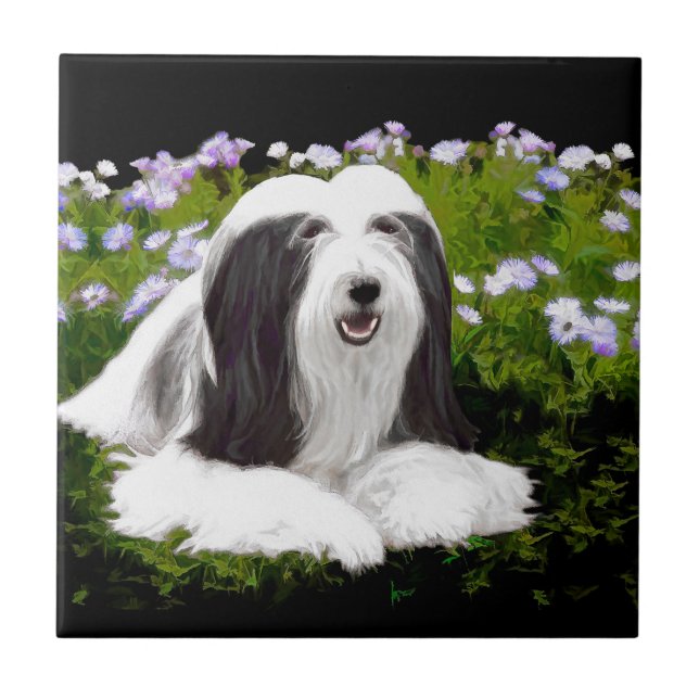 Beared Collie Painting - Cute Original Hund Art Kakelplatta (Framsidan)