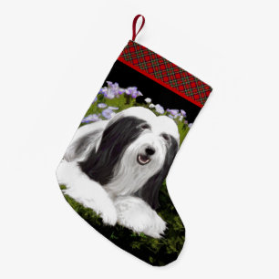 Beared Collie Painting - Cute Original Hund Art Liten Julstrumpa