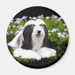 Beared Collie Painting - Cute Original Hund Art Magnet
