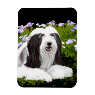 Beared Collie Painting - Cute Original Hund Art Magnet