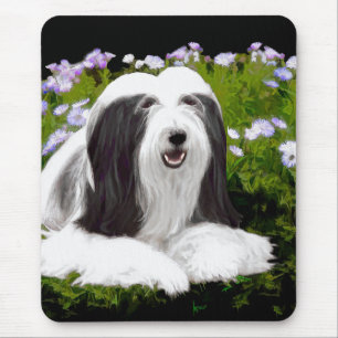 Beared Collie Painting - Cute Original Hund Art Musmatta