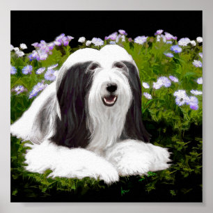 Beared Collie Painting - Cute Original Hund Art Poster