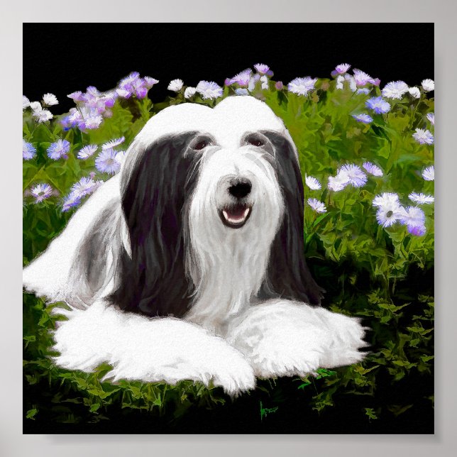 Beared Collie Painting - Cute Original Hund Art Poster (Framsidan)