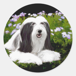 Beared Collie Painting - Cute Original Hund Art Runt Klistermärke