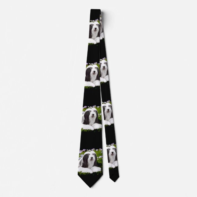 Beared Collie Painting - Cute Original Hund Art Slips (Framsida)
