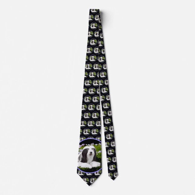 Beared Collie Painting - Cute Original Hund Art Slips (Framsida)