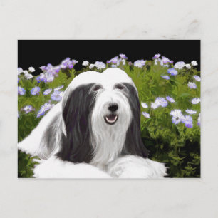 Beared Collie Painting - Cute Original Hund Art Vykort