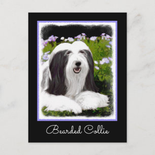 Beared Collie Painting - Cute Original Hund Art Vykort