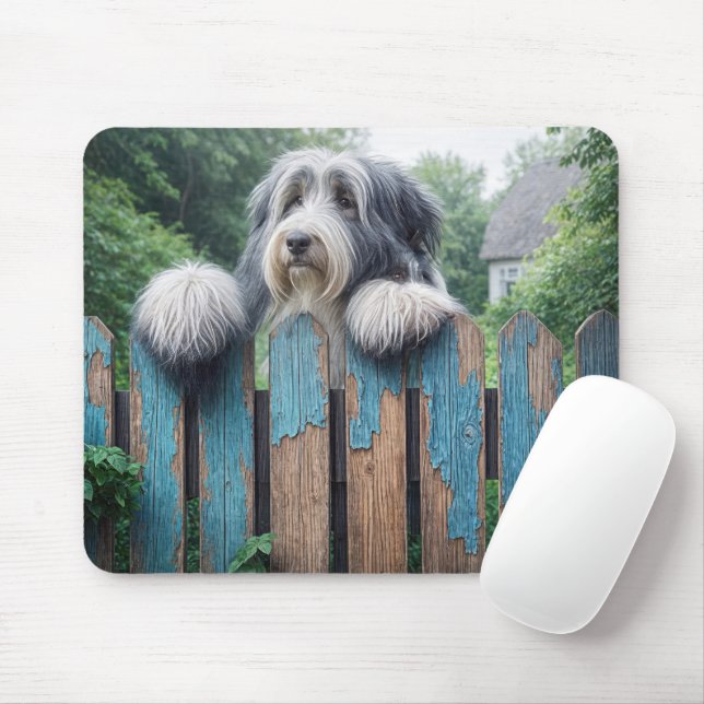 Beared Collie Peeking över ett gammalt staket Musmatta (Med mus)