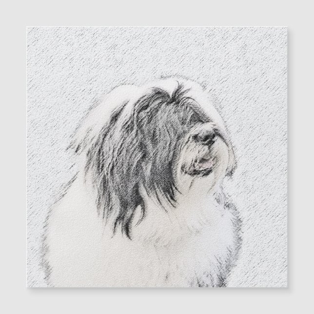 Beared Collie Teckning - Cute Original Hund Art (Framsida)