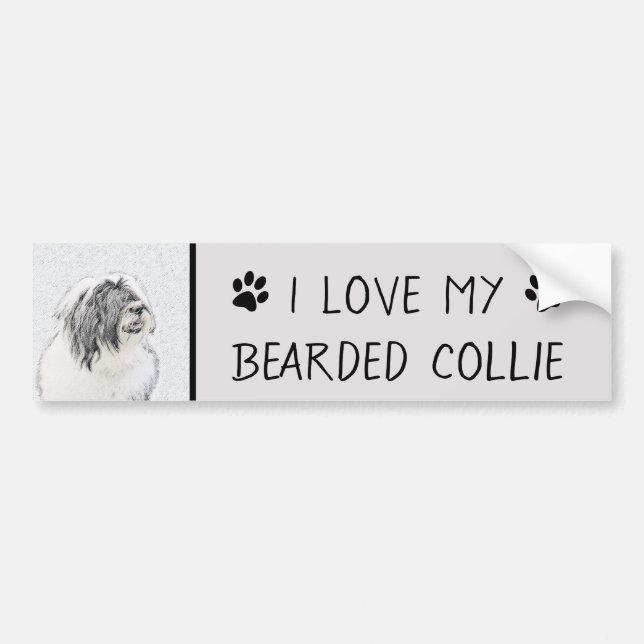 Beared Collie Teckning - Cute Original Hund Art Bildekal (Framsidan)
