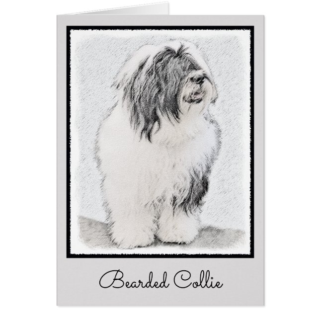 Beared Collie Teckning - Cute Original Hund Art Hälsningskort (Framsidan)