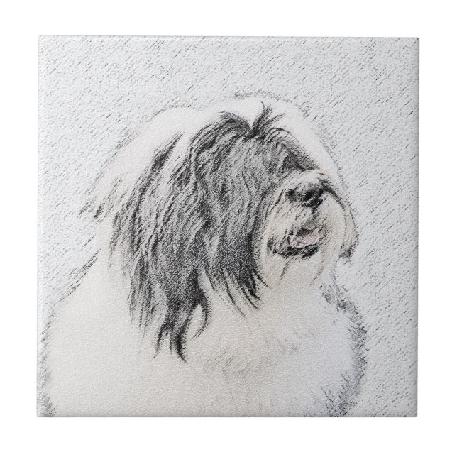 Beared Collie Teckning - Cute Original Hund Art Kakelplatta (Framsidan)