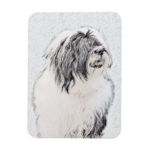 Beared Collie Teckning - Cute Original Hund Art Magnet