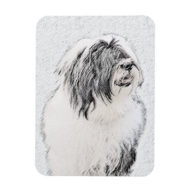 Beared Collie Teckning - Cute Original Hund Art Magnet (Vertikal)