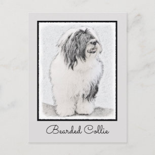 Beared Collie Teckning - Cute Original Hund Art Vykort