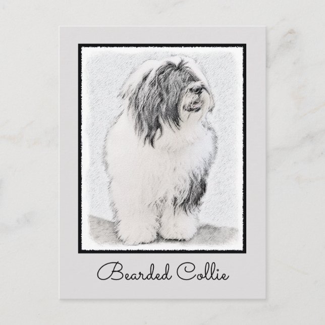 Beared Collie Teckning - Cute Original Hund Art Vykort (Framsida)