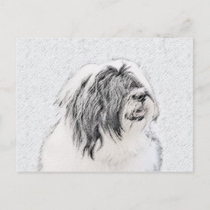Beared Collie Teckning - Cute Original Hund Art Vykort