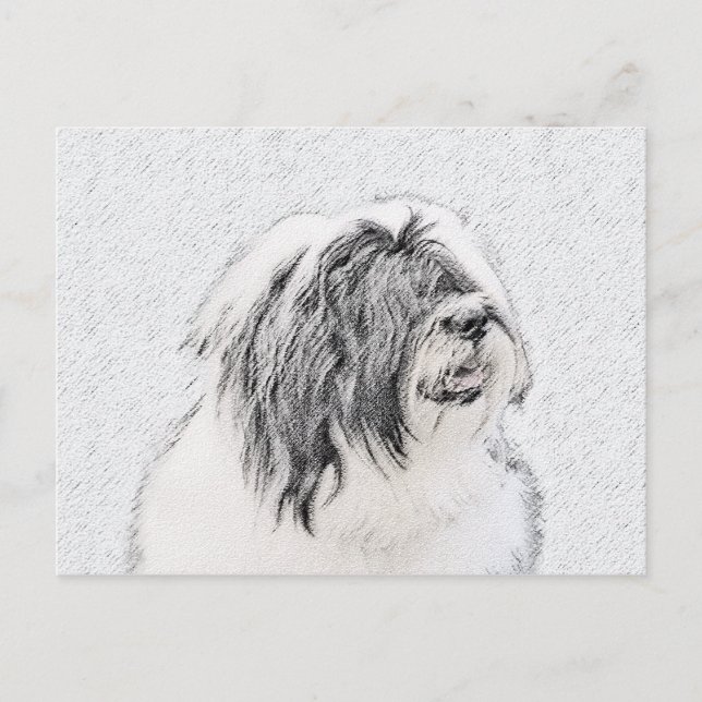 Beared Collie Teckning - Cute Original Hund Art Vykort (Framsida)