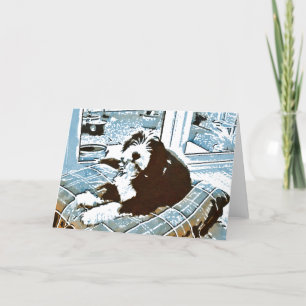 Beared Collie Valp Greeting Card Kort